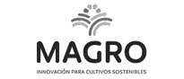logo-magro